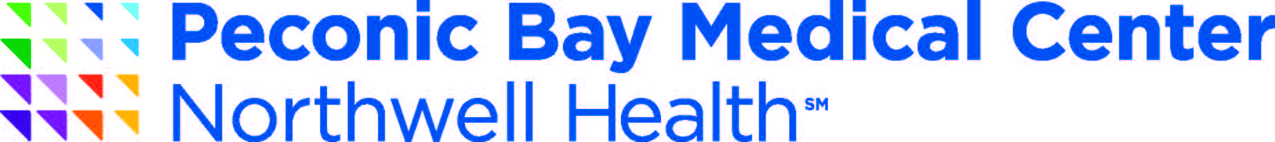 Northwell Health Long Logo